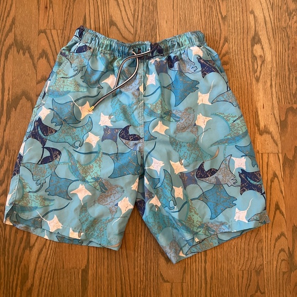 Peter Millar Other - Peter Millar “RAYS” Summer Swim short